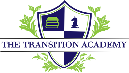 The Transition Academy